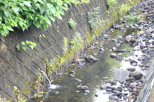 ishikawa9