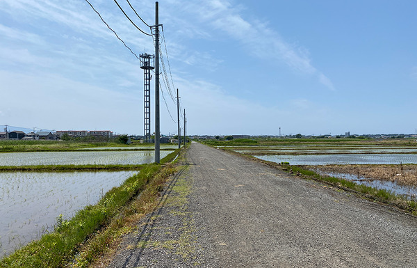 dekai05