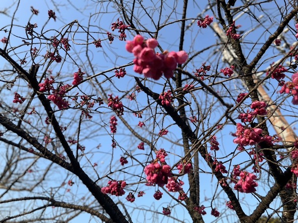 63C00EDF-0A84-483C-8DDD-6F953A1CACBC