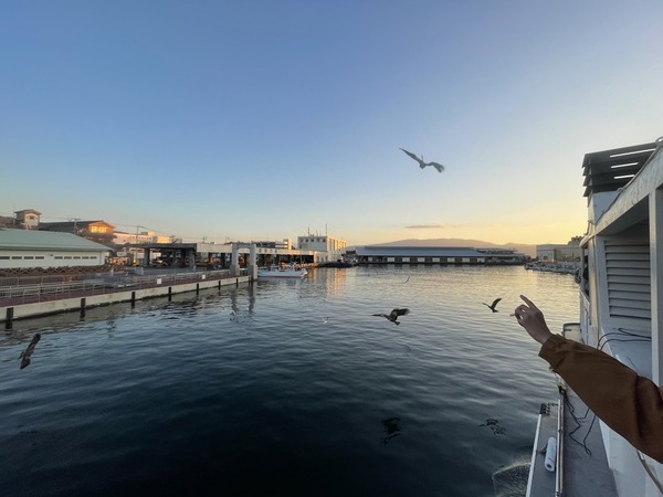 ADE26426-7773-41BE-B080-EE45D64A31B6