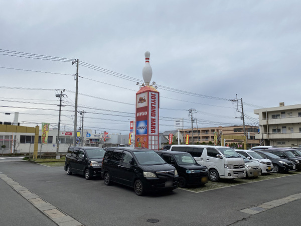 joyland (5) のコピー