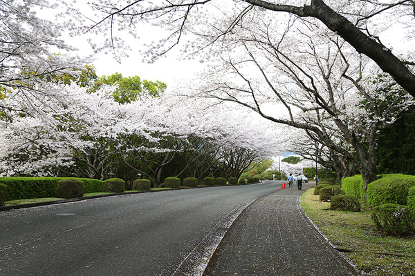fujitsu (4)