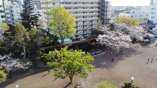 spring054_w