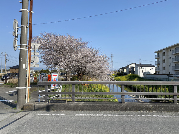 chikusen (5)
