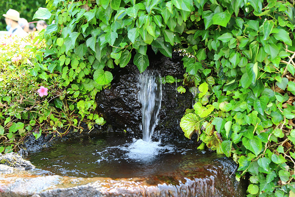 suigen (5)