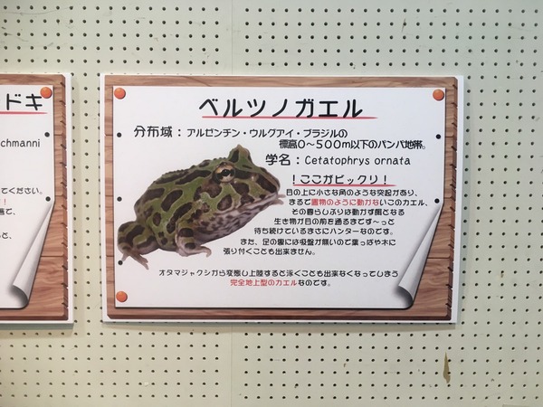 9110710C-2B1F-4638-AB39-D8C07B42A855