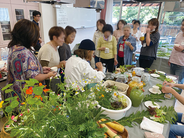herbalLife (9)