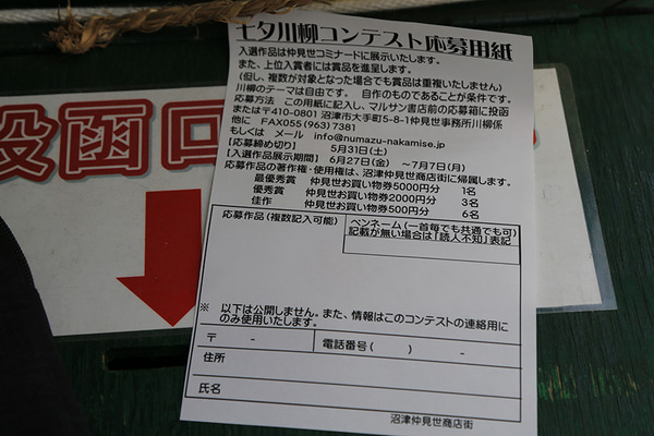 nakamisesenryu (6)