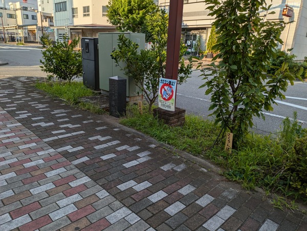 PXL_20240723_083440868