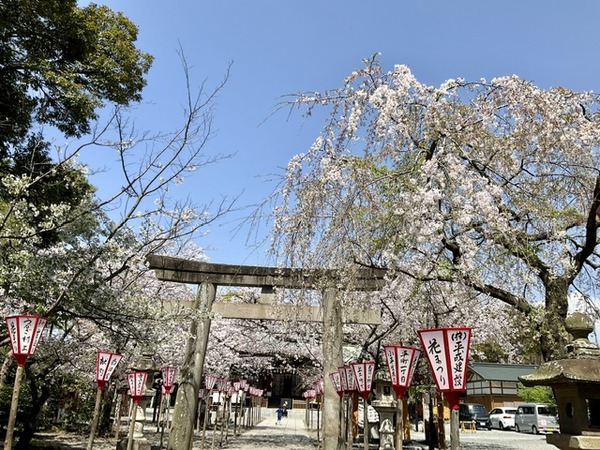 6B6260F6-5AD6-45C7-BAE1-64E9391D4386