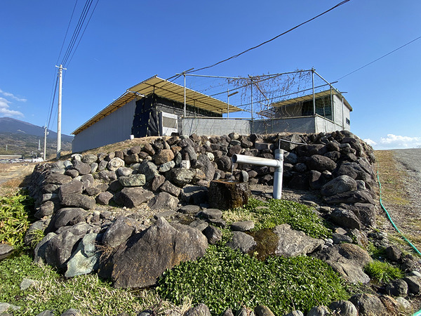 ukishima (8)
