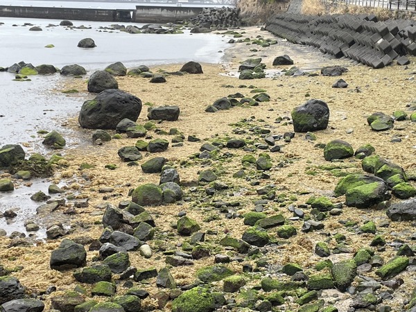 ED95263D-64E1-4ADD-8581-FBE7E0684DC3