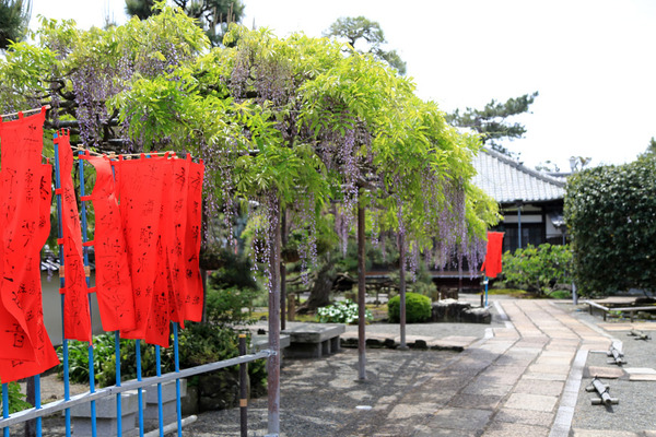 tokugenjiji (3)