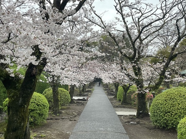 4B182DEE-1CF3-447F-A7EE-9757C6DC2B48