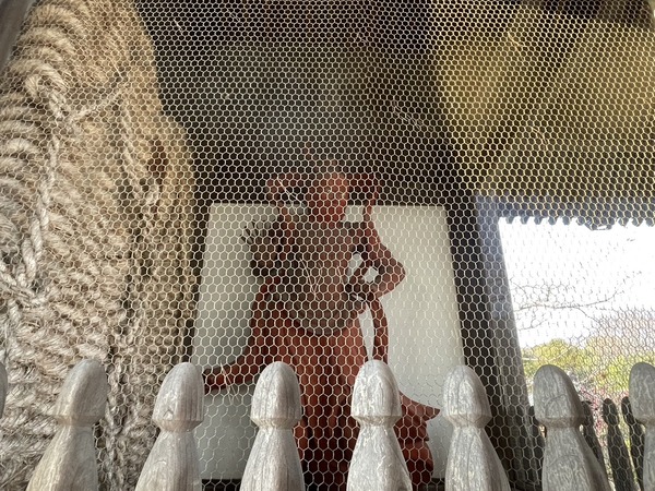 C99D1A38-5F28-49C2-ADFC-CE0BA2CC6EA3