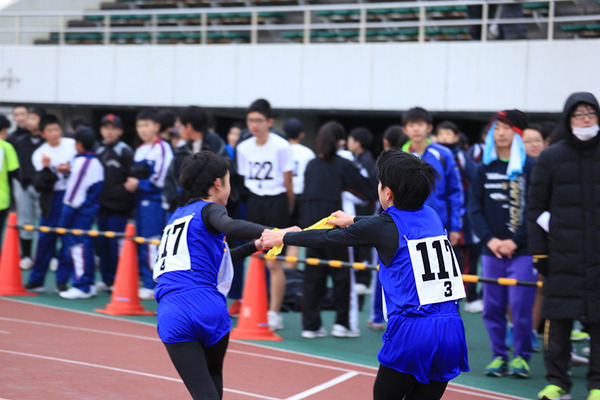 deneki (3)