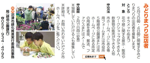 midori (11)