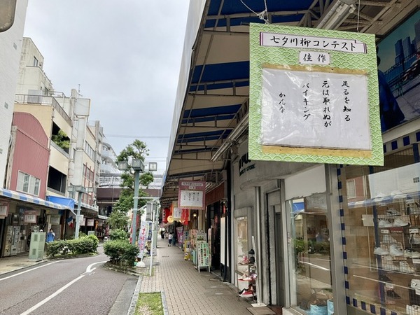 senryu (6)