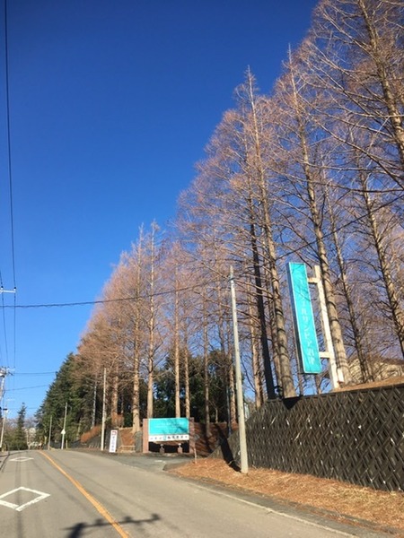 46557B3E-0064-4E45-8DB0-DBF6EC0AADDD