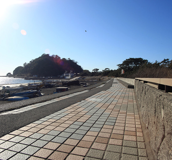 fujisannohi (5)