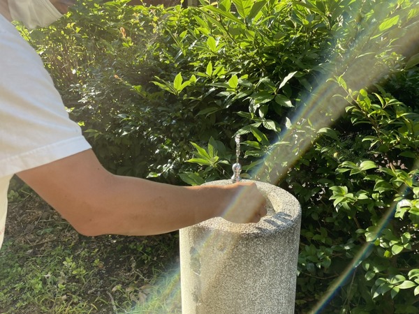 BF8BB406-5E89-46C8-AB09-4084E6227ED5