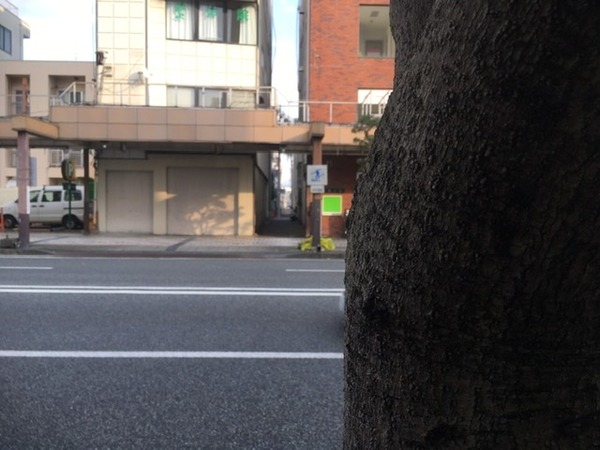 905362AA-53AC-4AE1-A8E3-130725ECF3DE