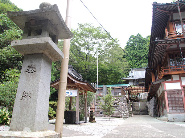 suisei (3)