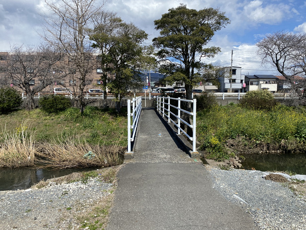 zakura (4)