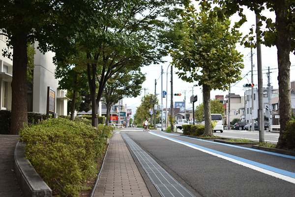shiritsu (6)