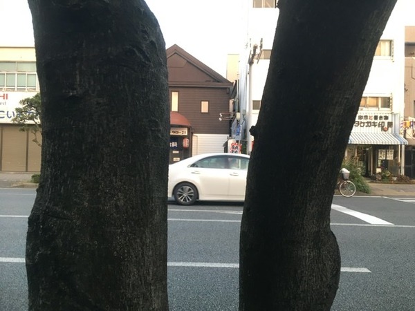 465E8C20-ADFB-433B-9635-FED49F236171