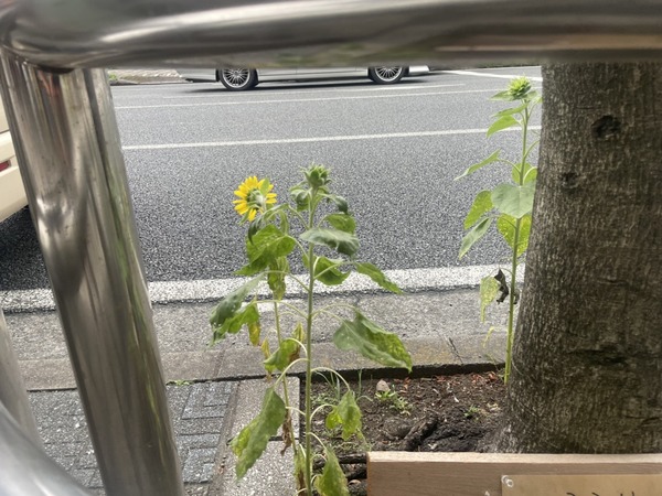 95D826A0-7C8C-473B-BD5D-C285DB12FA20