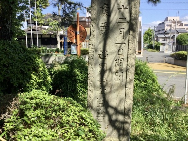 8C3AF1F7-443A-4FE9-AA36-957DDDB8B18F