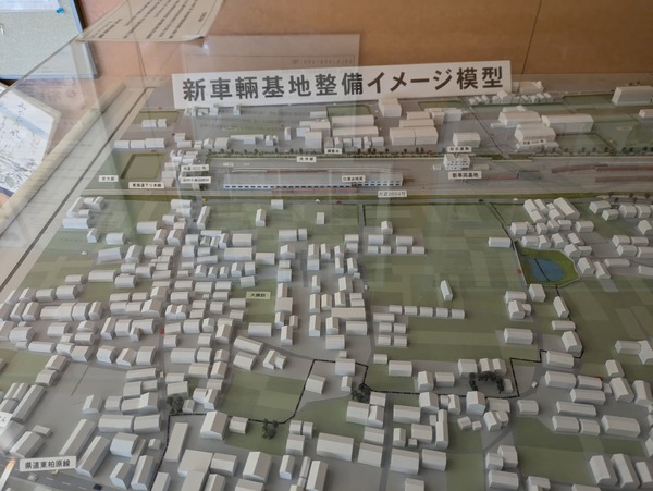 PXL_20241111_054849439