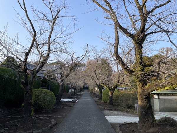 B8994238-3018-450D-81AE-EFBBEF66D03E