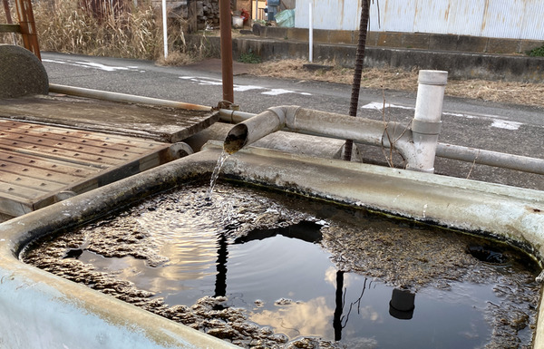 hiranuma003