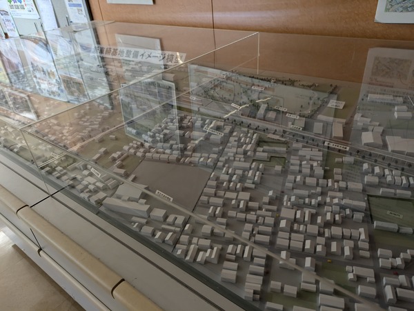 PXL_20241111_054844998