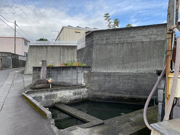 suizen (5)