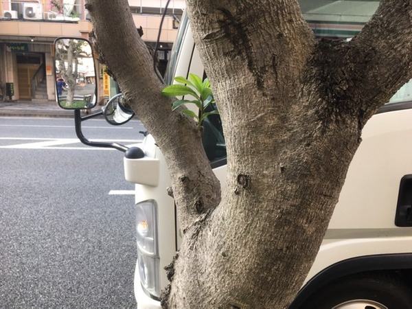 E9400C9D-0E3D-4669-8ED3-A2B1AA4B23F9