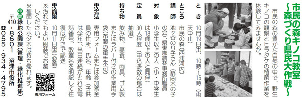 kinoko (1)