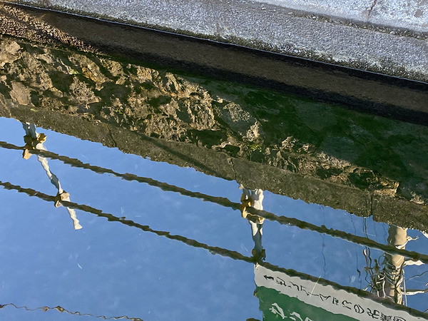 fence (2)