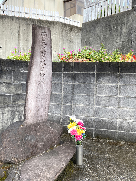 suizen (1)