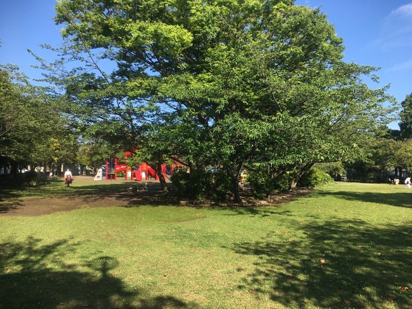 8D2D640E-E561-4D03-96DD-95ACA18752DD