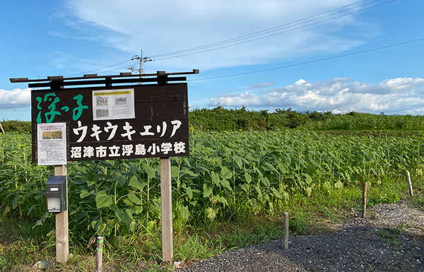 hima01