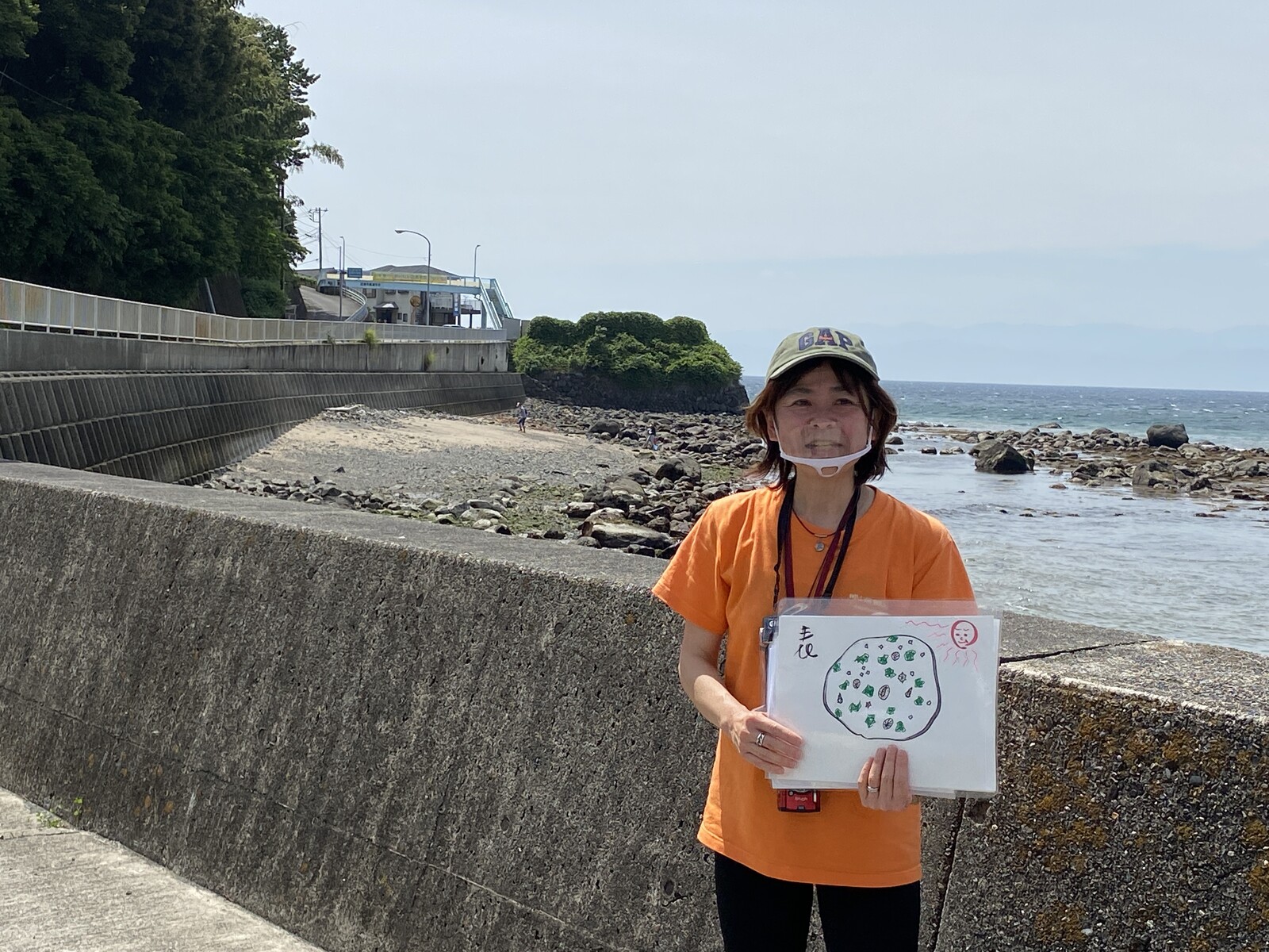 沼津市西浦平沢 ユニークな磯の生き物との出会いに 子供も大人も目がキラキラしてた 沼津つーしん 沼津市西浦平沢 ユニークな磯の生き物との出会いに 子供も大人も目がキラキラしてた 沼津つーしん