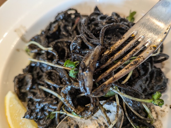 PXL_20250811_033829171