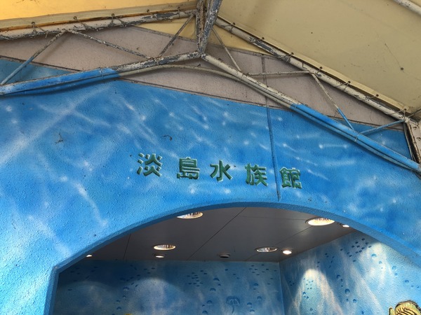 628903CE-585D-4DE5-BB61-11FF1FFE15E8