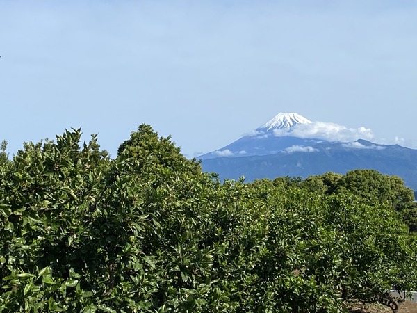 IMG_9672