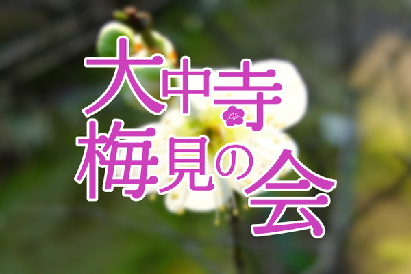 ちょっと早い沼津の春はここから。中沢田に春の気配がやってくる！大中寺の梅見の会が開催されます。