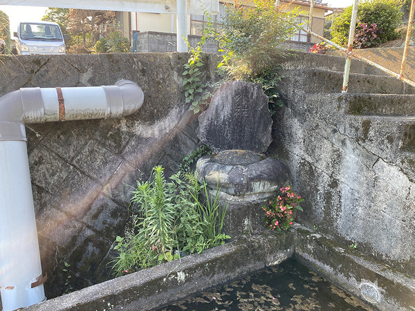 shizakai (5)