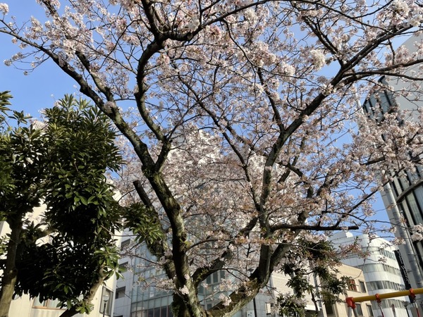 F79AAE50-148E-42B2-8176-CC59E3F1C77D